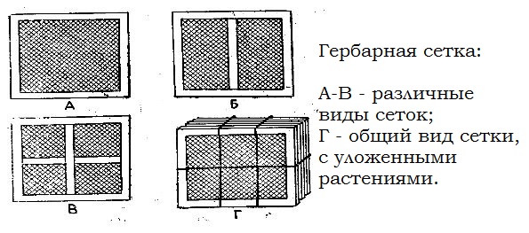 Словарь основных понятий, необходимых для освоения ресурса